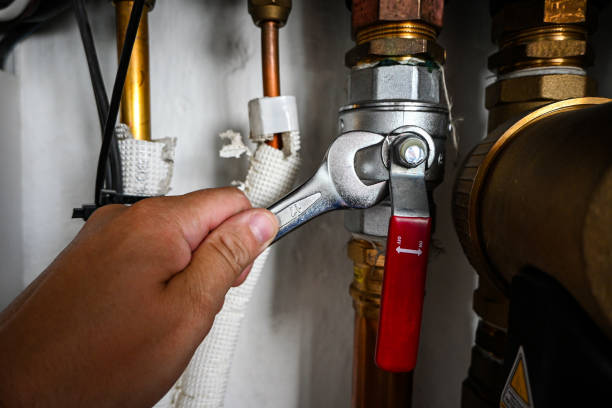 Best Plumbing Installation Services  in Cairo, IL